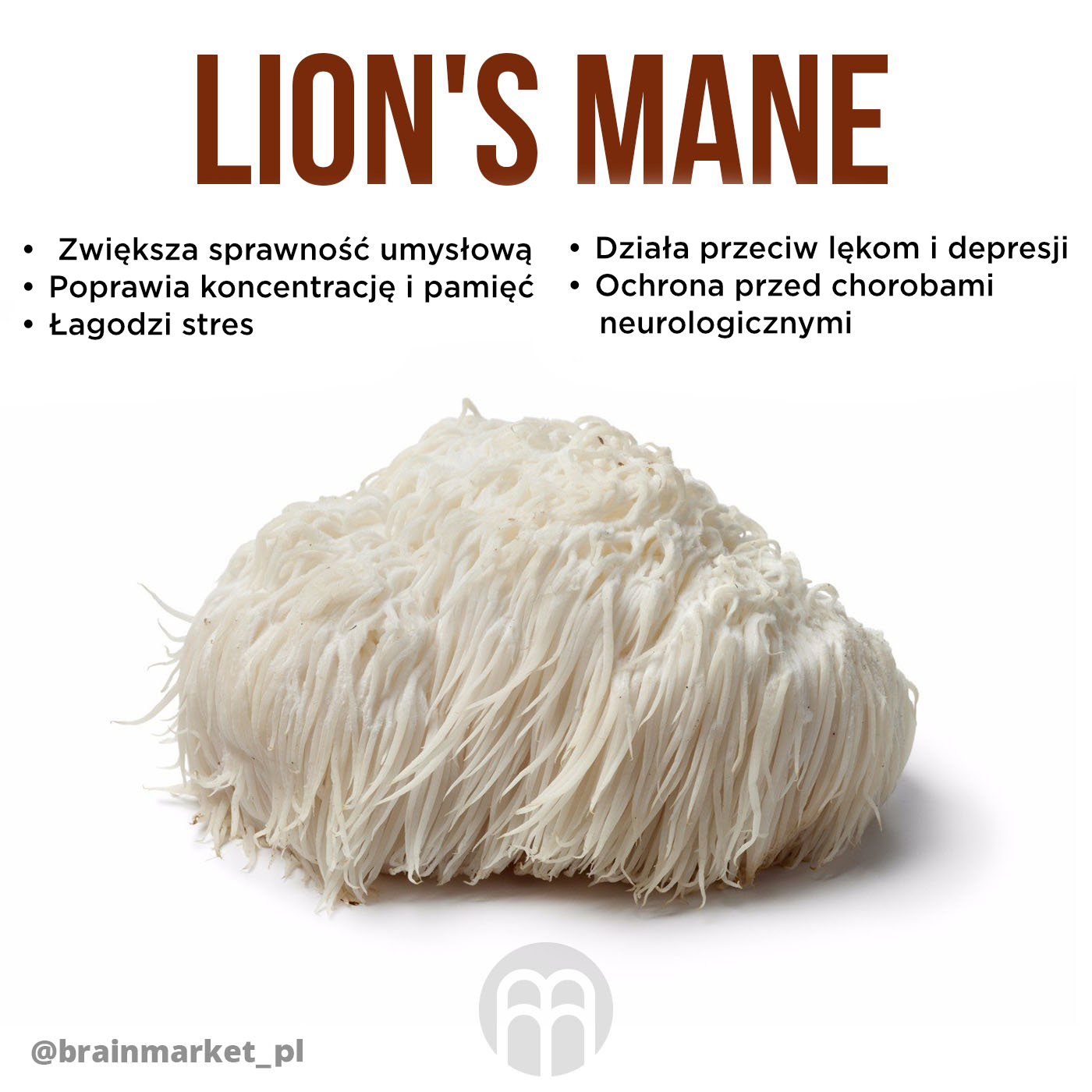 lions-mane_pl